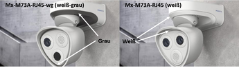 M73 difference White Grey D