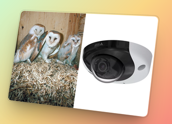 Birdcam P39335 LR afbeelding blog V1