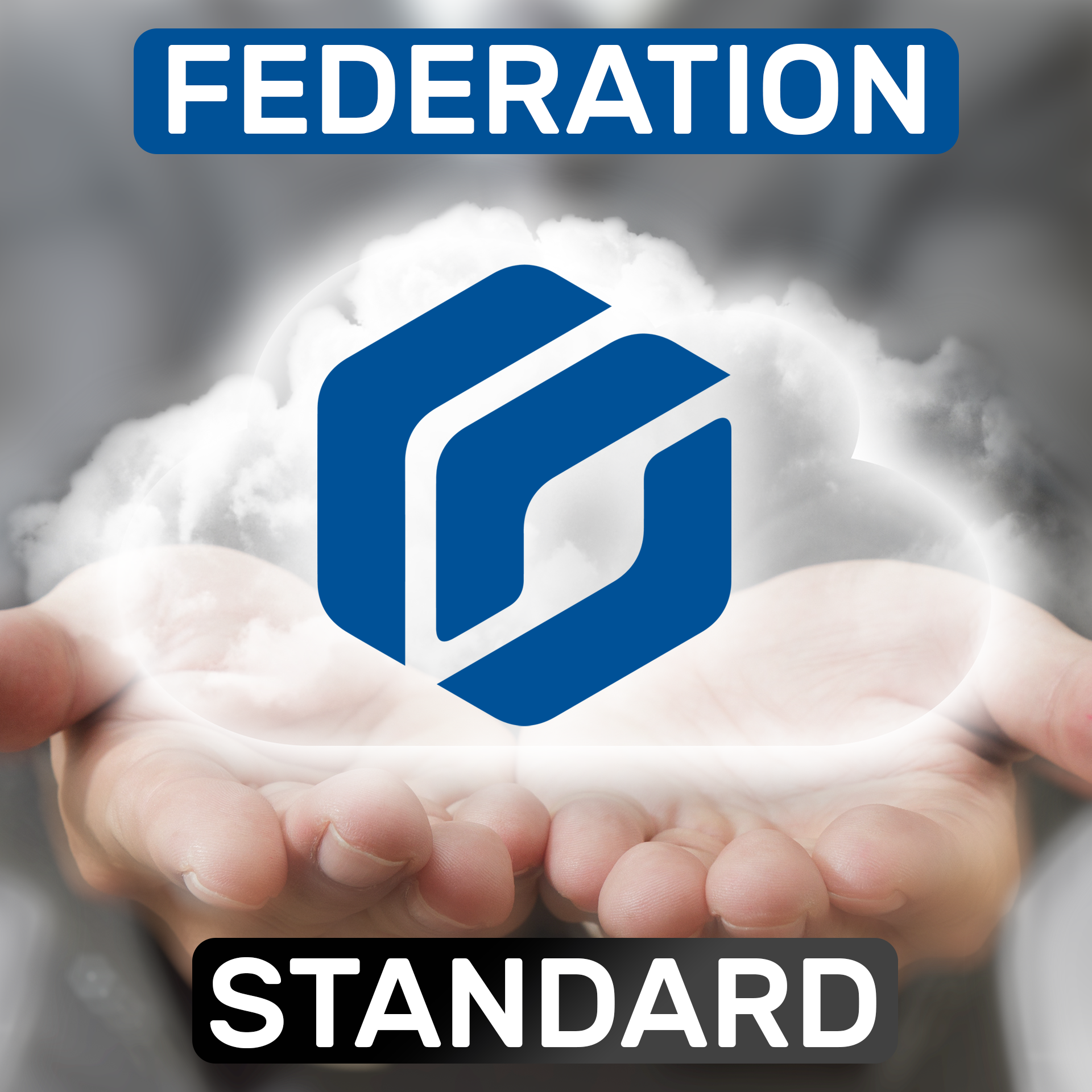 Genetec SCC-STANDARD-1FED-1Y