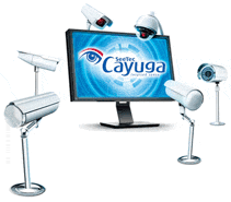 Qognify Cayuga Infinity - Lizenz fur 1 camera